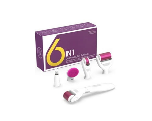 Ekai Technology 6 in 1 Titanium Derma Roller για Αντιγήρανση 0.5-2mm src=