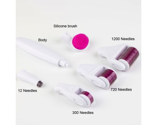 Ekai Technology 6 in 1 Titanium Derma Roller για Αντιγήρανση 0.5-2mm